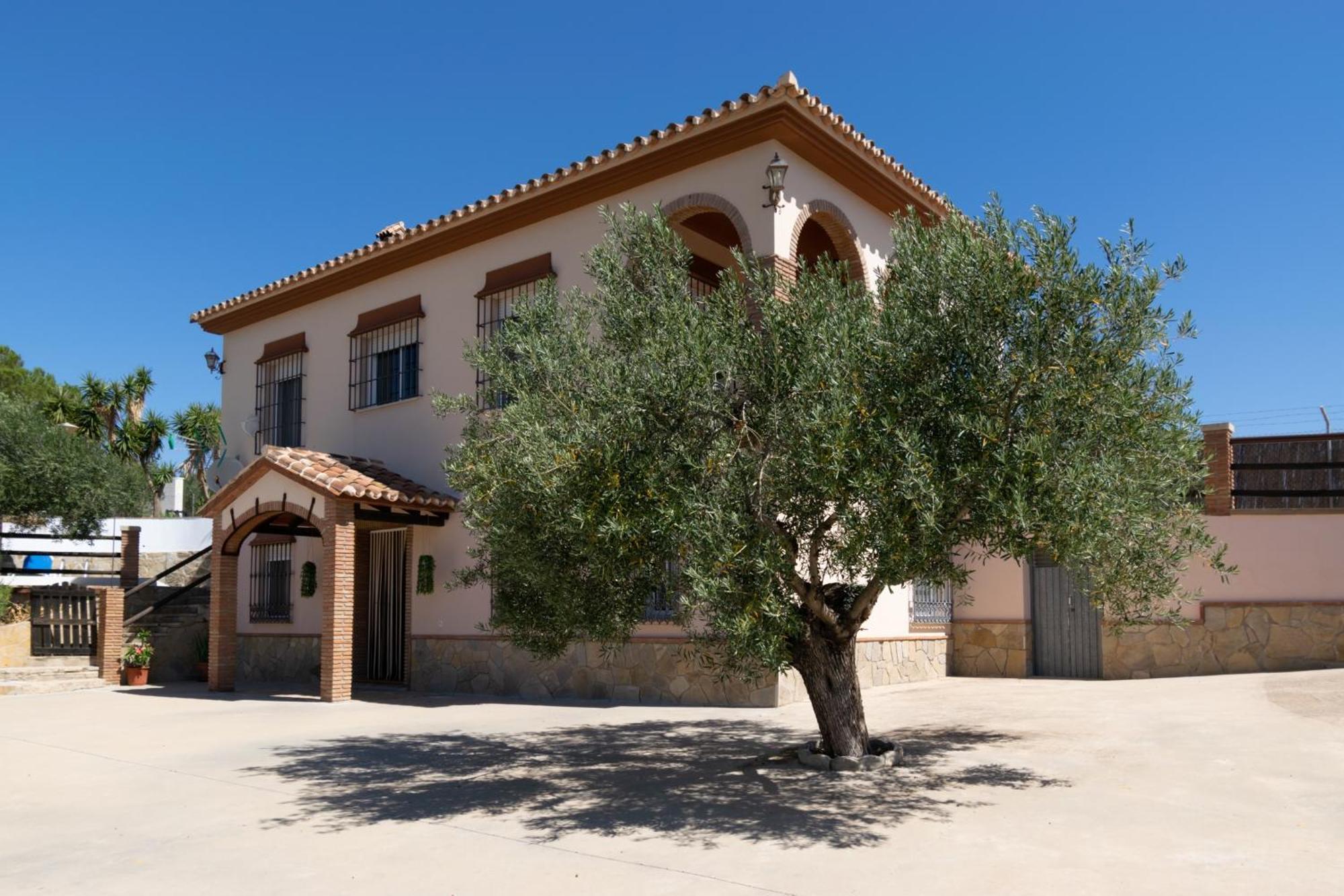 Casa Los Olivos Álora Exterior foto
